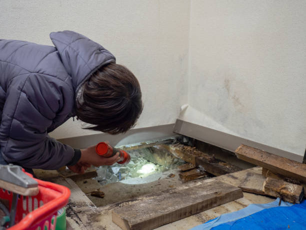 Best HVAC Mold Inspection and Cleaning  in Pataskala, OH