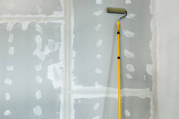 Best Attic Mold Removal  in Pataskala, OH