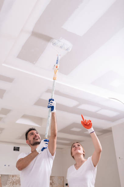 Best Black Mold Removal  in Pataskala, OH