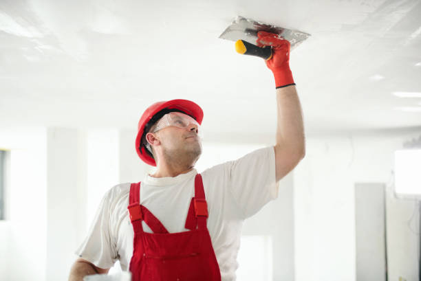 Best Attic Mold Removal  in Pataskala, OH