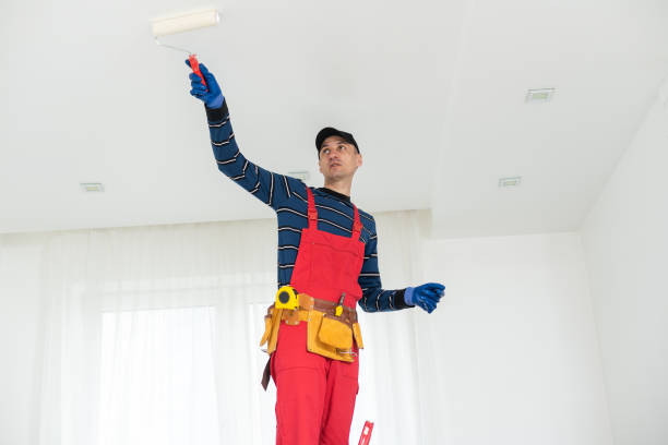 Best Water Damage & Mold Remediation  in Pataskala, OH