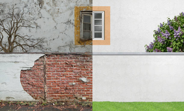 Trusted Pataskala, OH Mold Removal Experts