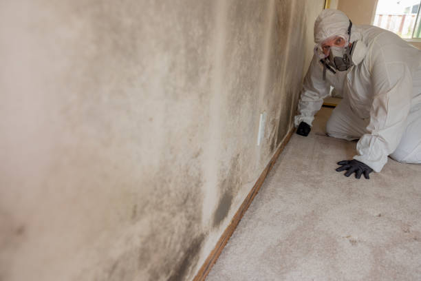 Best Mold Odor Removal Services  in Pataskala, OH